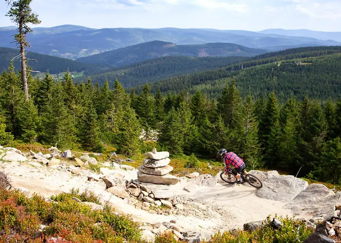 Czarna Gora 219 3* سيينا